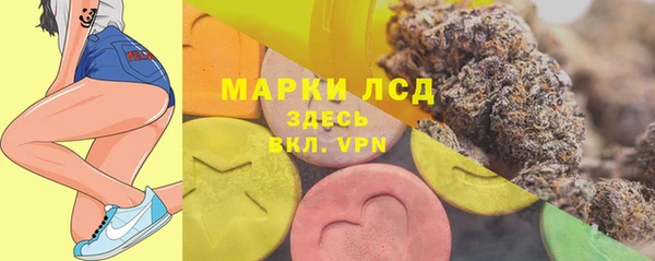 индика Протвино