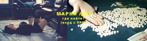 дмт Ростов