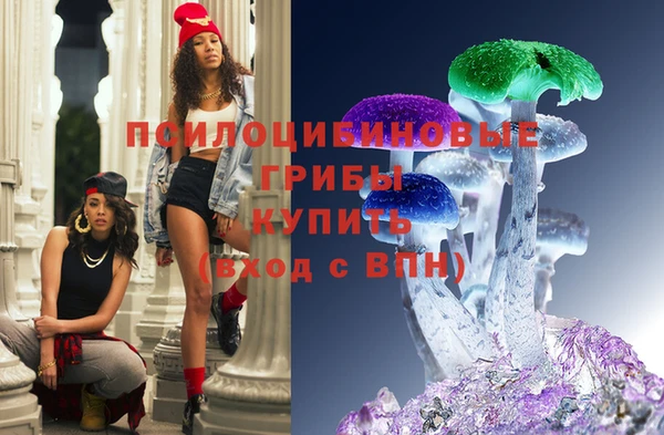 бутират Богородицк