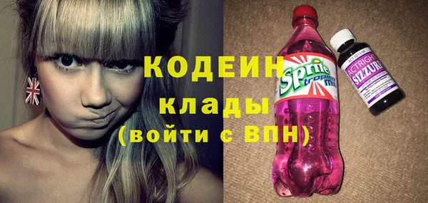 индика Протвино