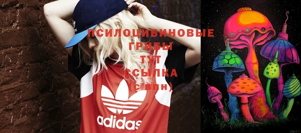 дмт Ростов